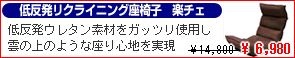 �t���[�c�V���b�s���O�����������I