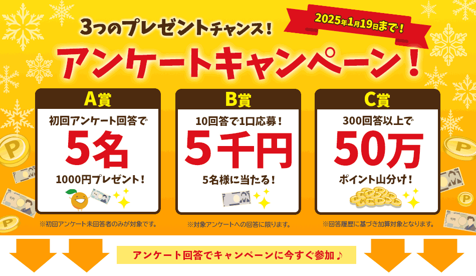 �A���P�[�g�L�����y�[��(20241111�`20250119)